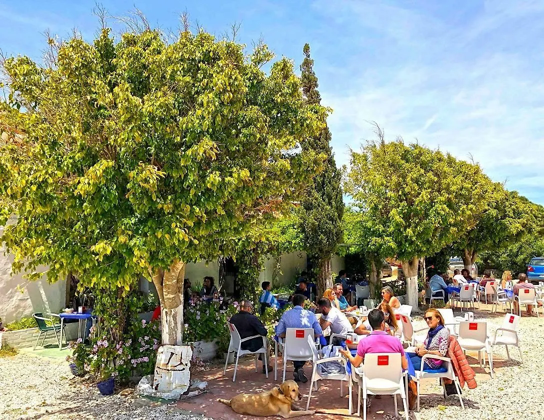 Hospederia Restaurante Tarin Hotel Los Canos De Meca Spain